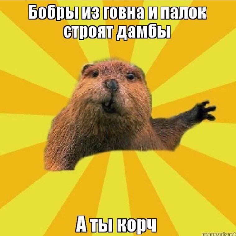 Водяная Свинка капибара