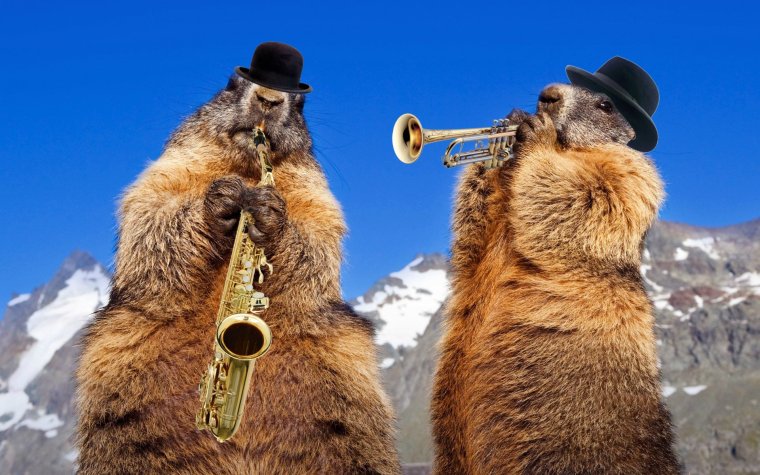 Злая капибара