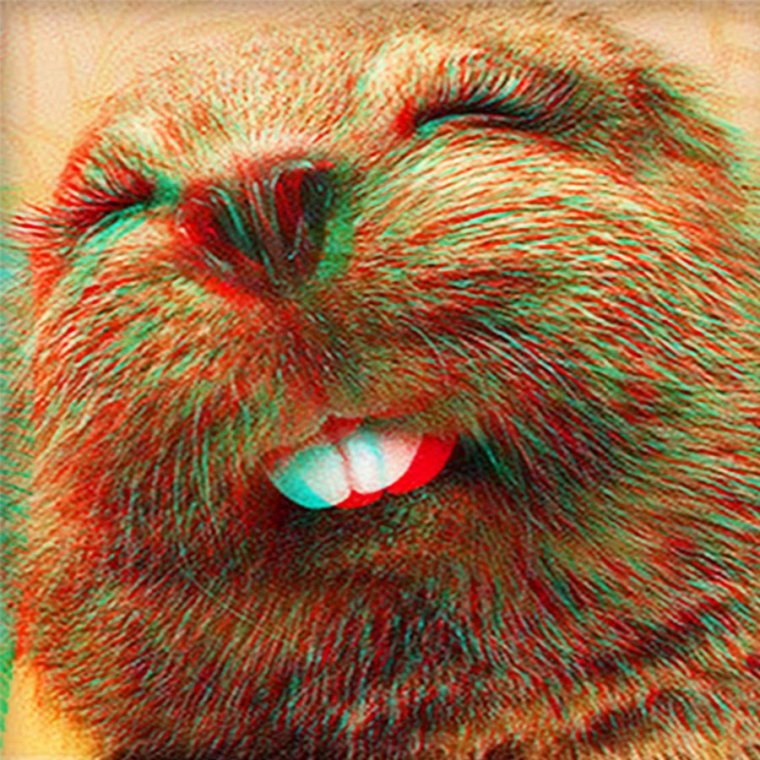 Бобры в мультяшном стиле