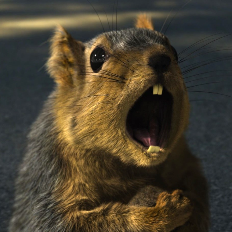 Речной Бобр