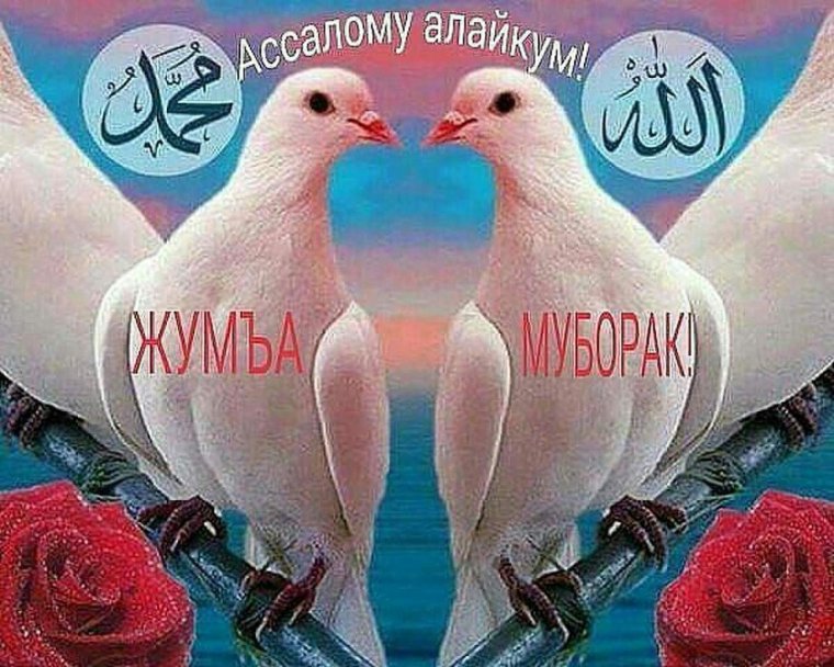 Иди Саиди Фитр