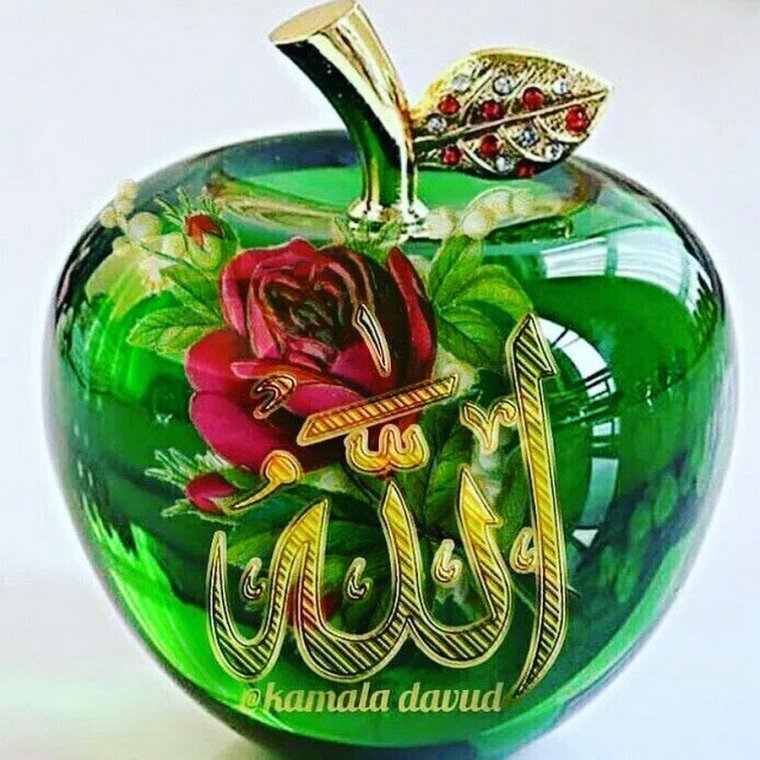 Рузи Саиди чума