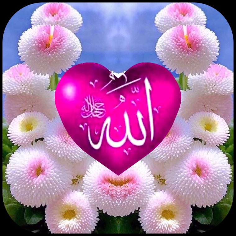 Мусхаф Мекка