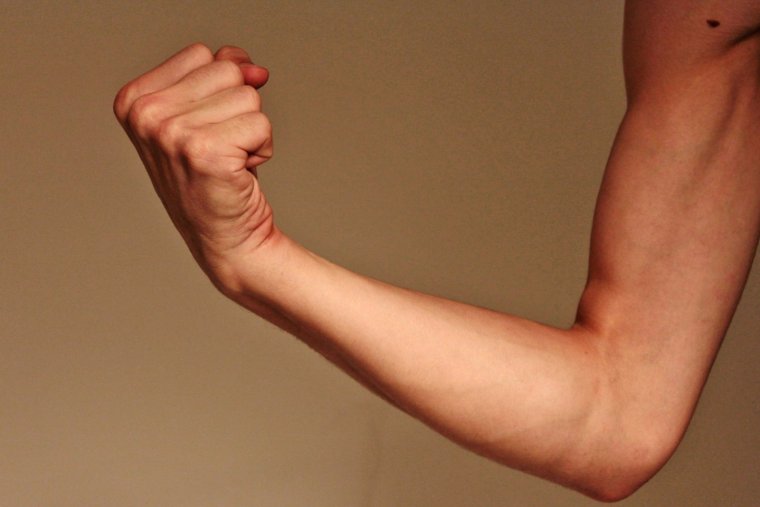 Рука человека