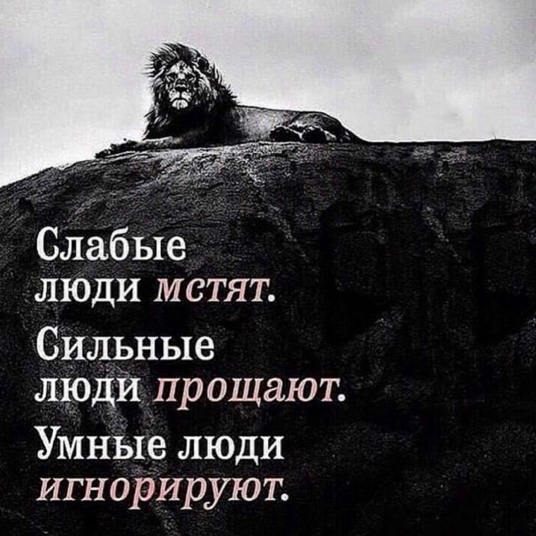 Умные цитаты