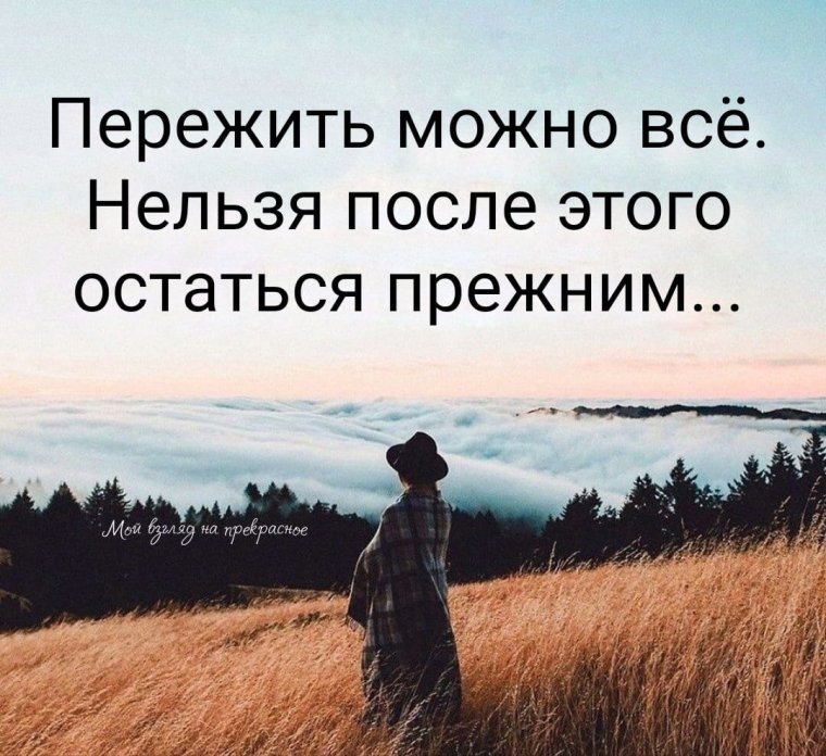 Цитаты со смыслом