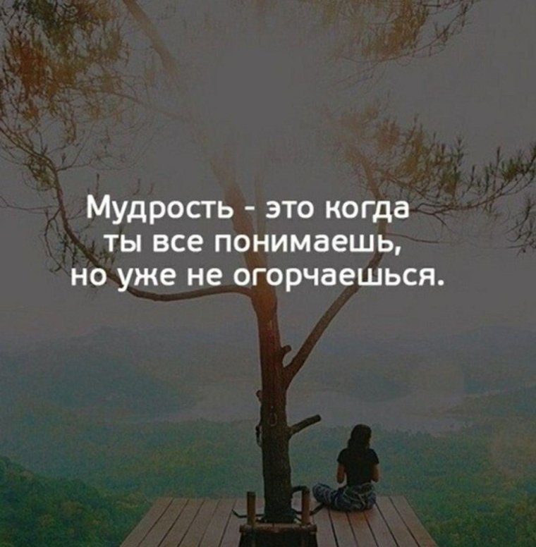 Мудрость это когда ты все понимаешь но уже не огорчаешься