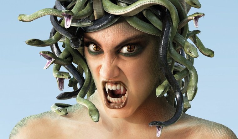 Медуза Горгона красивая