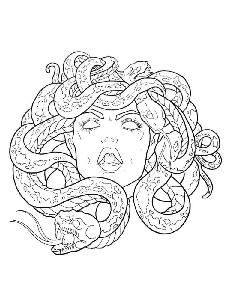 Голова медузы Горгоны вектор