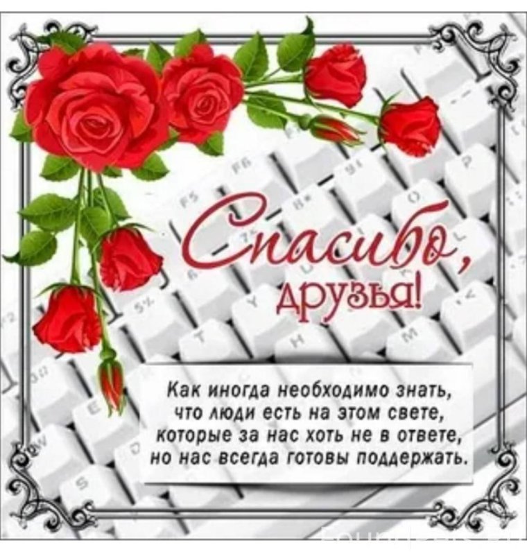 Спасибо друг