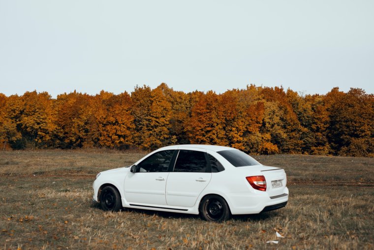 Заниженная Гранта фл