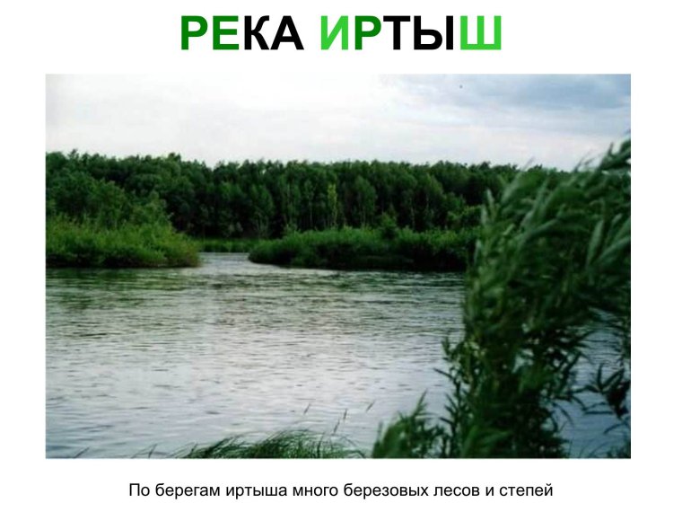 Обитатели реки Иртыш