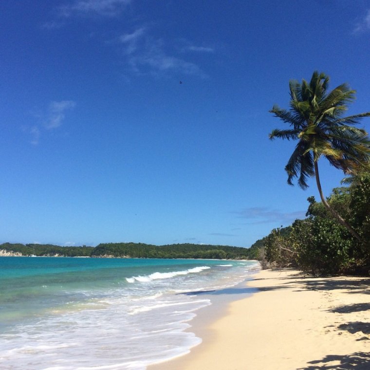 Сент Мари Карибы