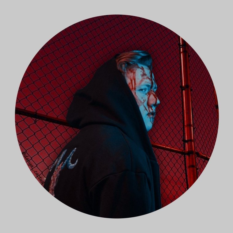 Даня Кашин 2015