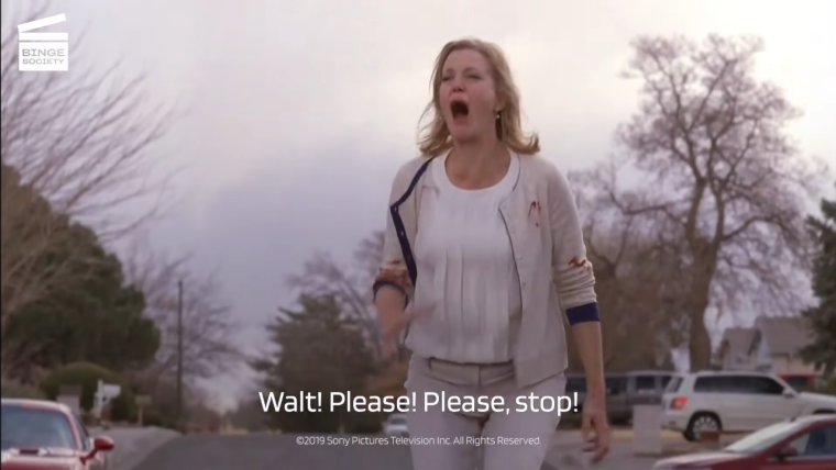 Breaking Bad nude Скайлер Уайт