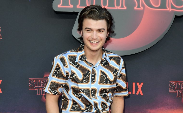 Steve Harrington Haircut