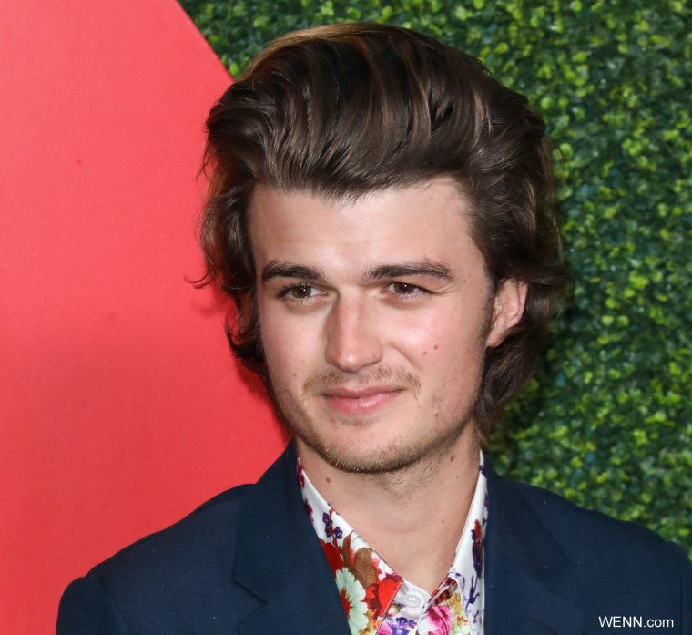 Steve Harrington hair