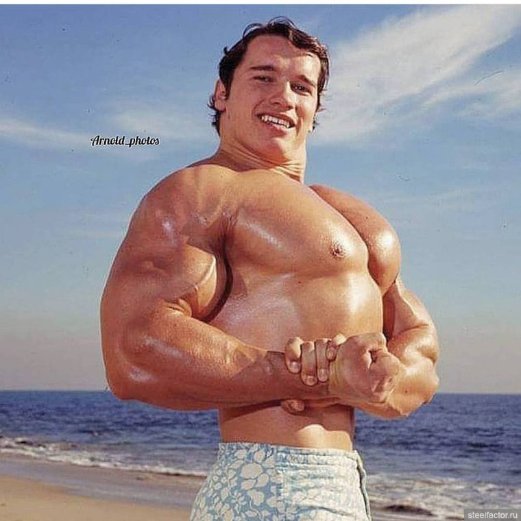 Арнольд Шварценеггер