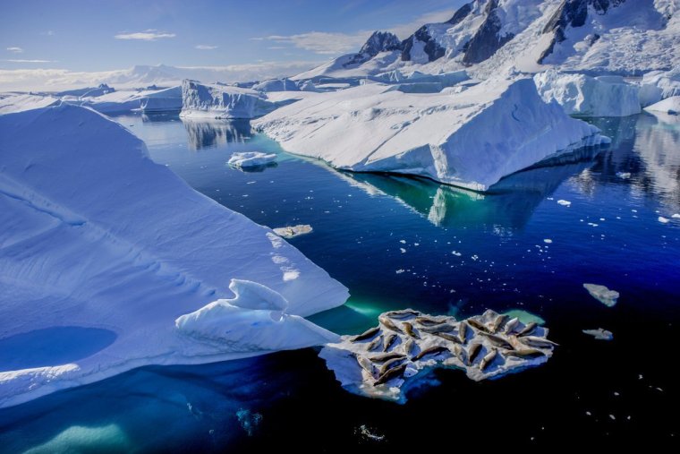 Антарктида суровый климат