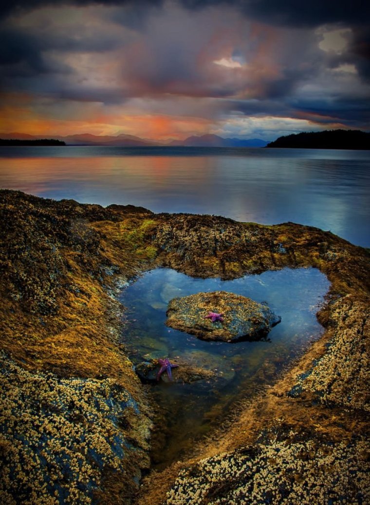 Сердце в природе