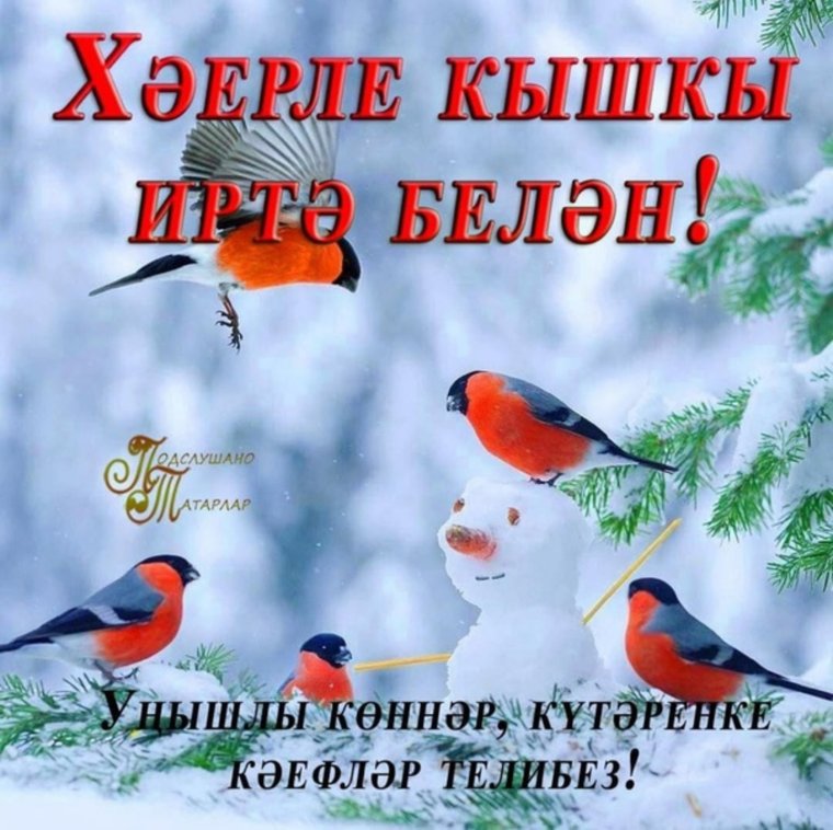 С добрым зимним утром на татарском языке