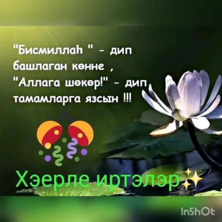 Картина Аллага шокер