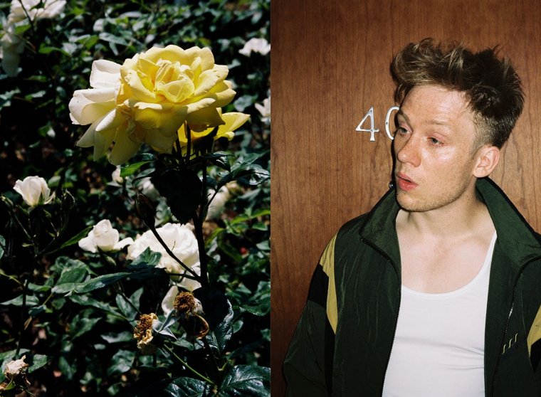 Джо и Финн Коул