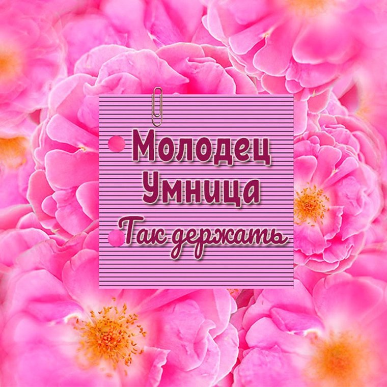 Открытка молодец умница