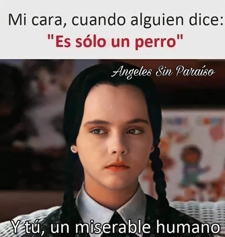 Кристина Риччи Уэнзди Аддамс