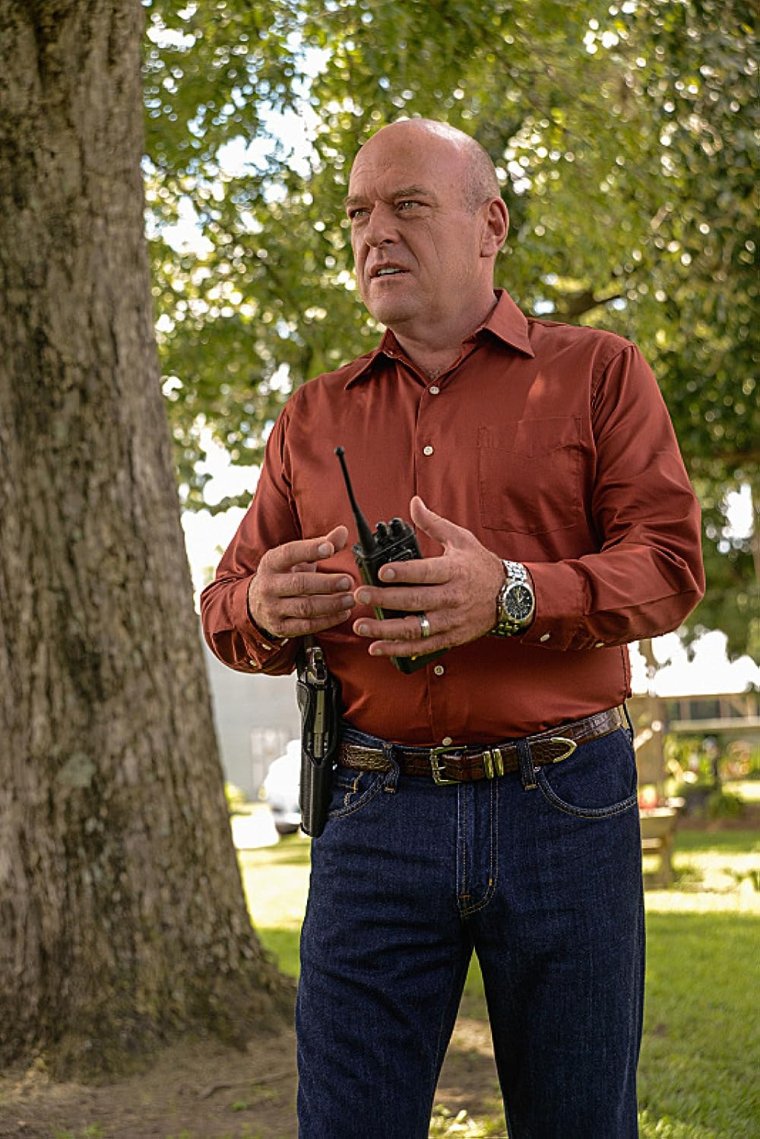 Дин Норрис под куполом