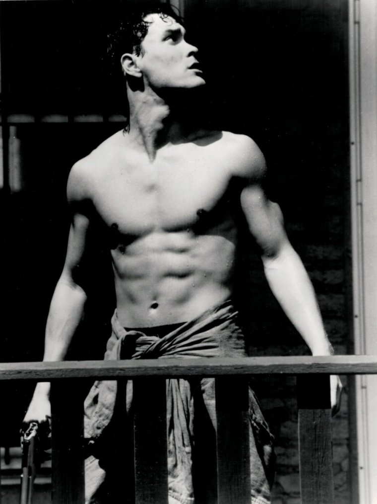 Брэндон ли торс и Брюс