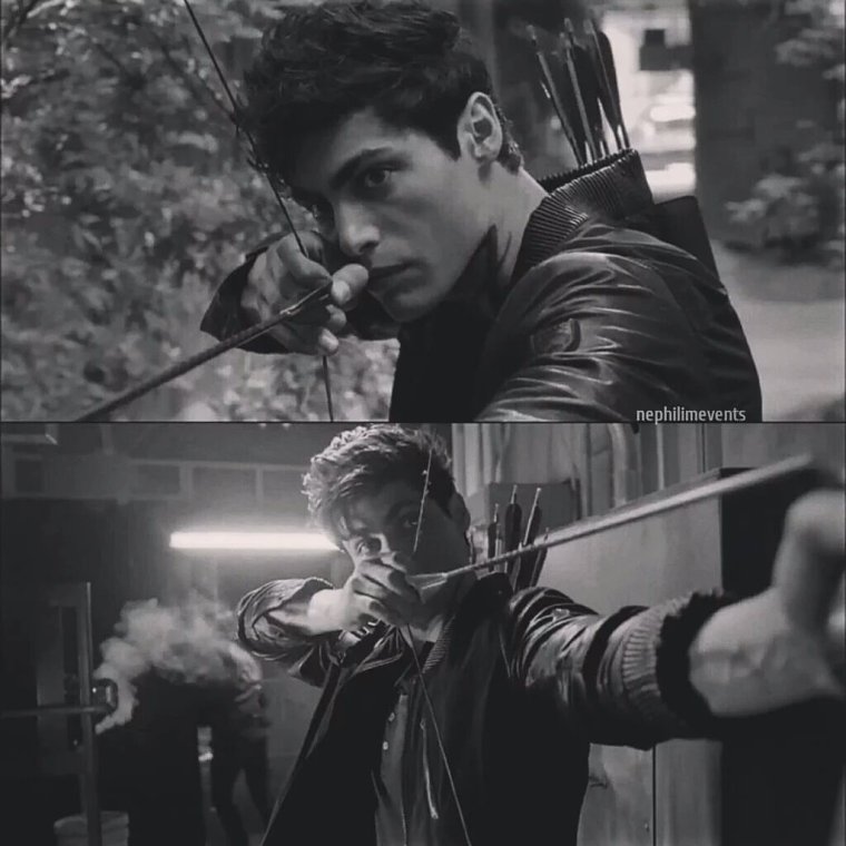 Мэттью Даддарио Эстетика