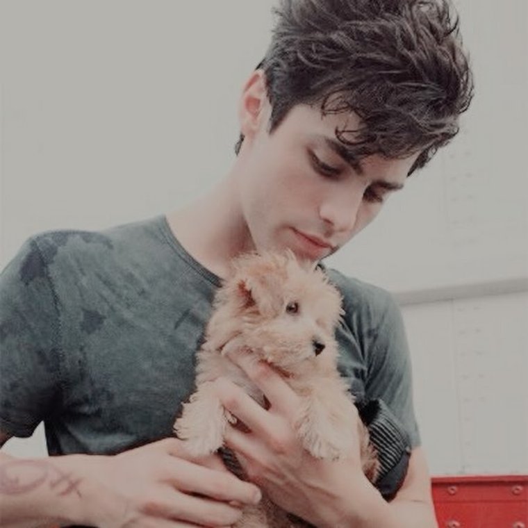 Собачка Метью