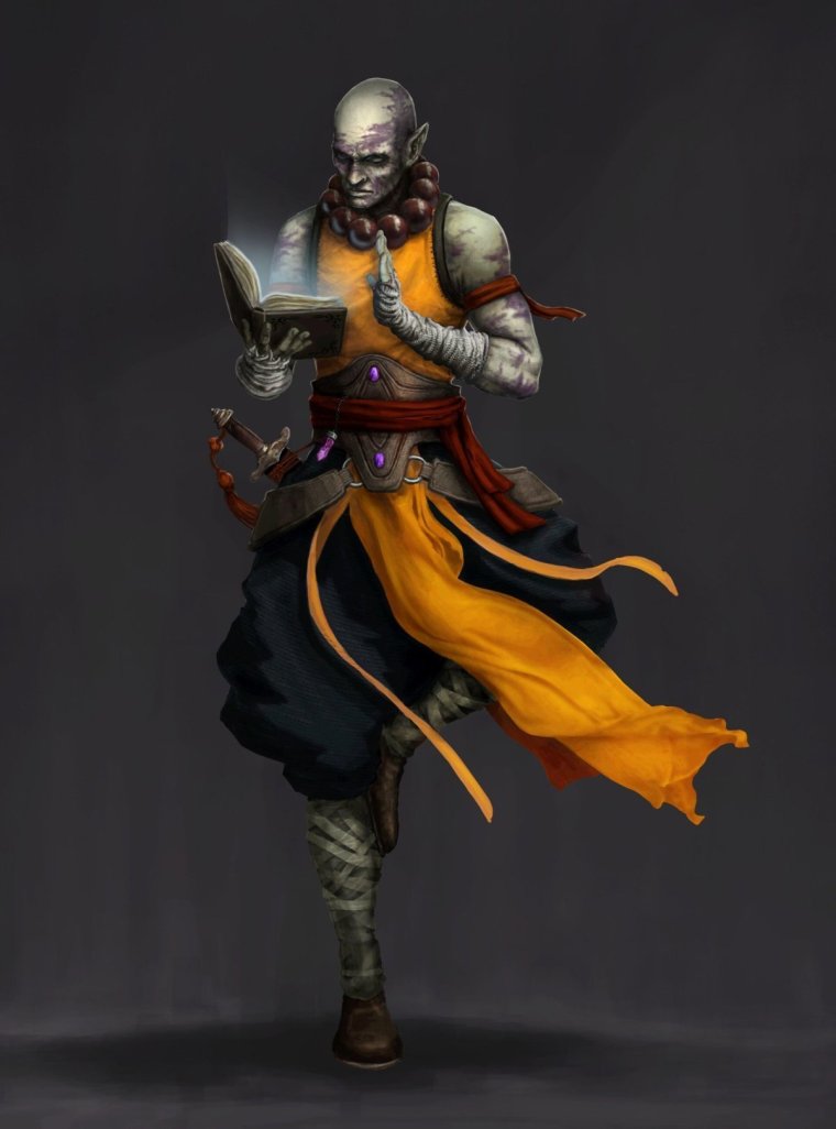 ДНД арт Монк дракон