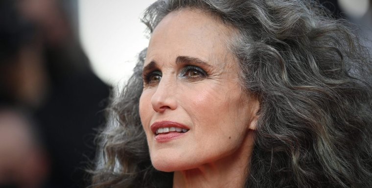 Энди МАКДАУЭЛЛ Седая