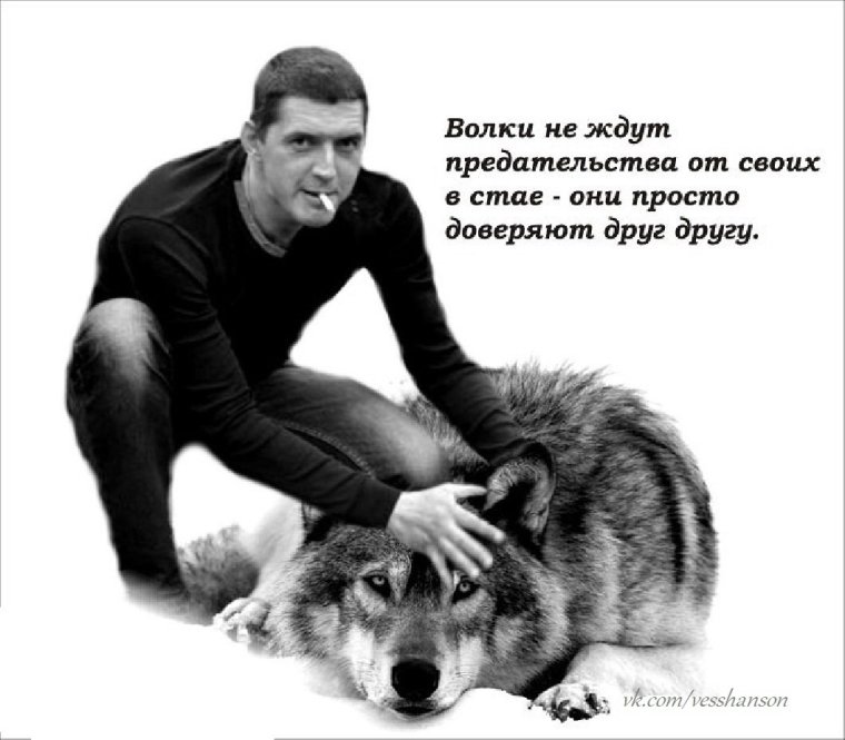 Волк не предаст