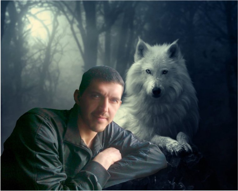 Волки тоже умеют любить Вячеслав Сидоренко