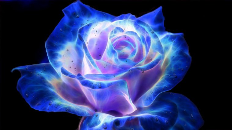 Светящиеся цветы