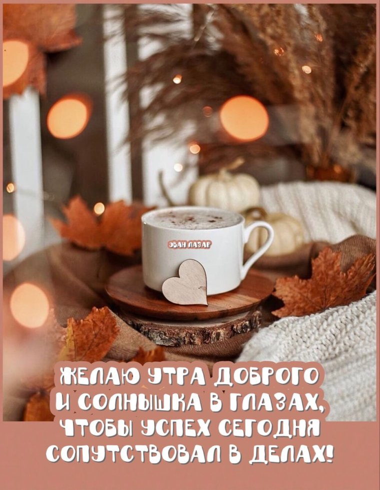 Эван Лазар цитаты в картинках юмор