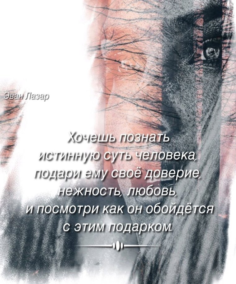 Эван Лазар цитаты