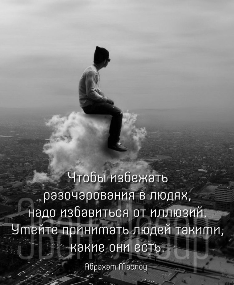 Эван Лазар цитаты