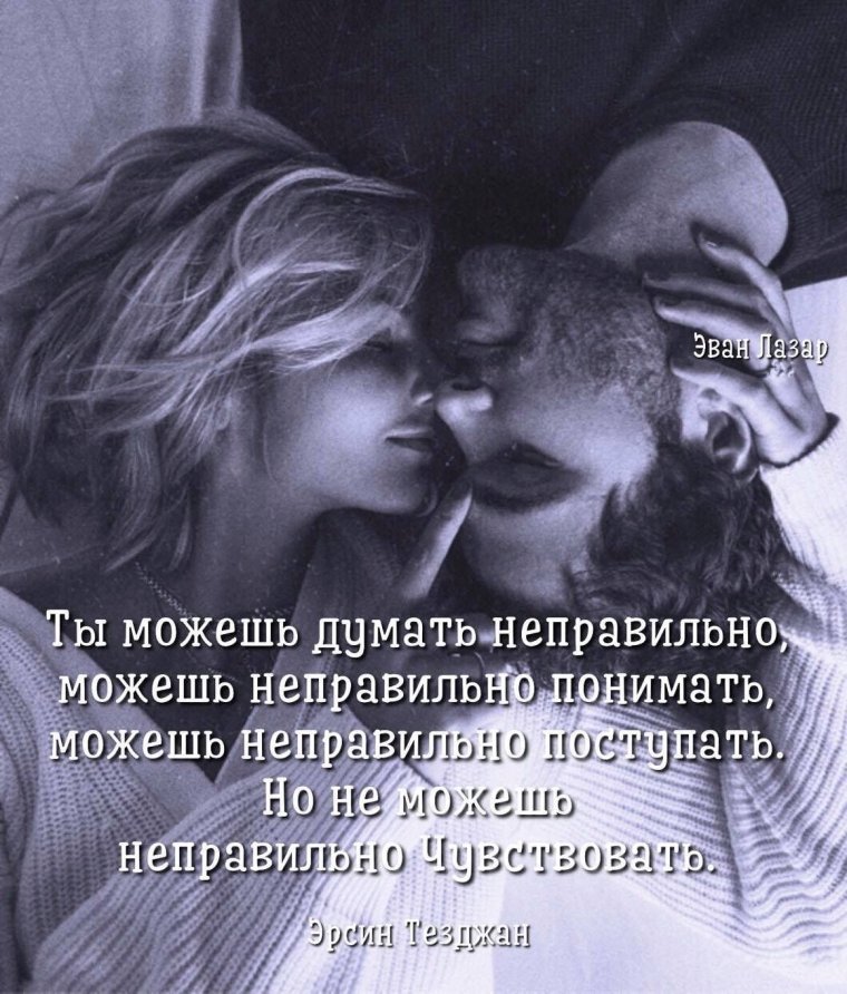 Эван Лазар цитаты юмор