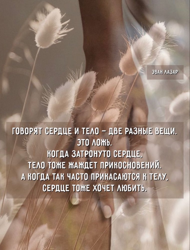 Эван Лазар цитаты в картинках