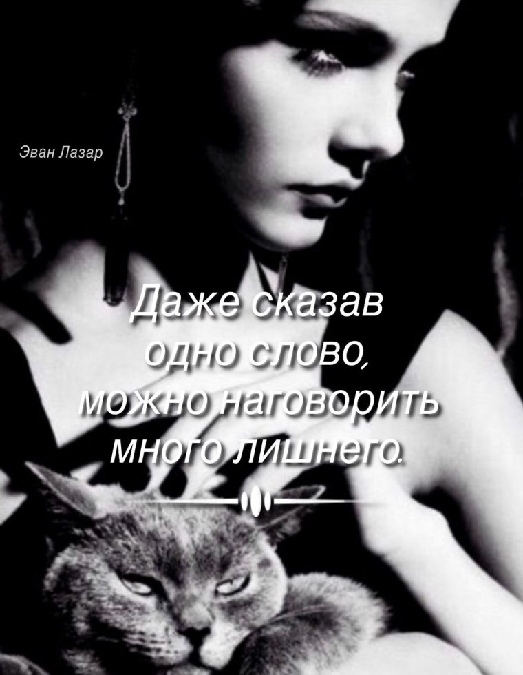 Эван Лазар цитаты юмор