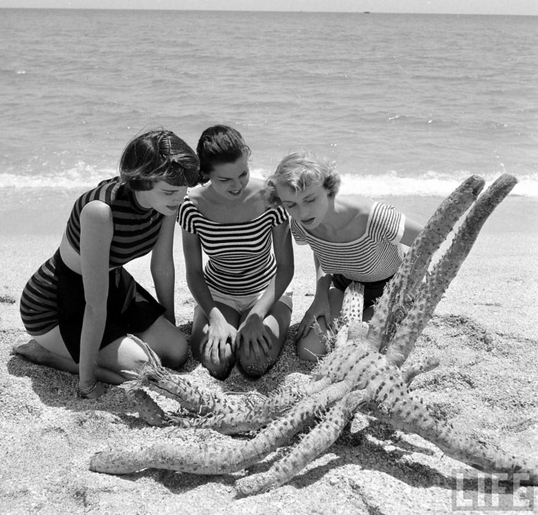 Советские дети на море ретро