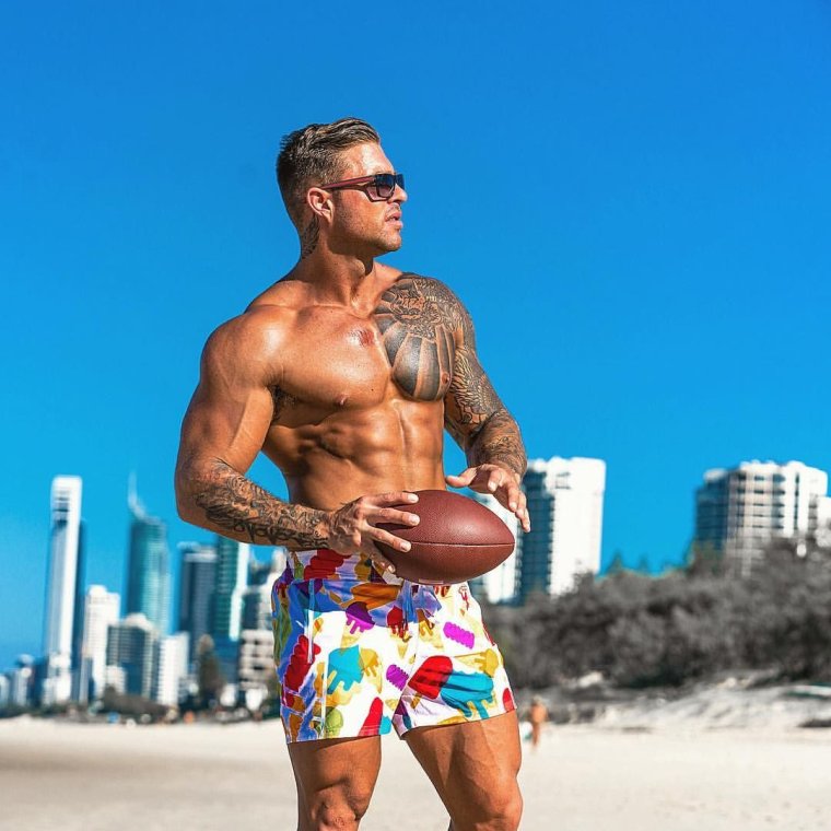 Дэвид Харрис модель