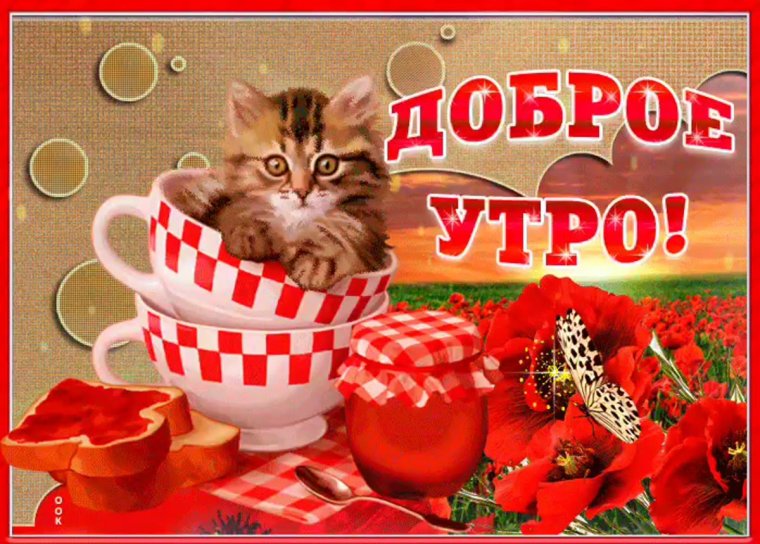 Открытки с котиками доброго утра