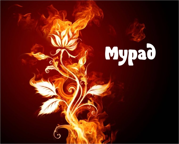 Мурад картинки