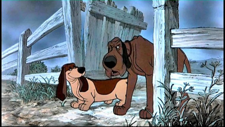 Коты Аристократы Лафайет