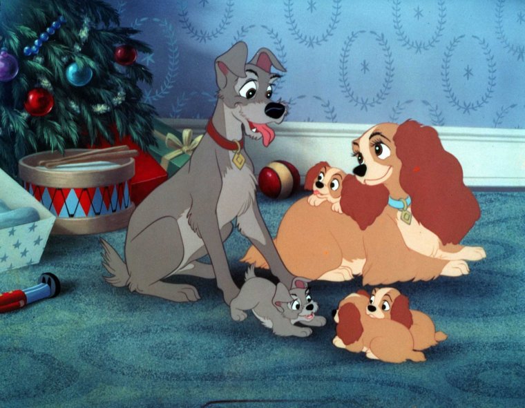 Леди и Бродяга 1955